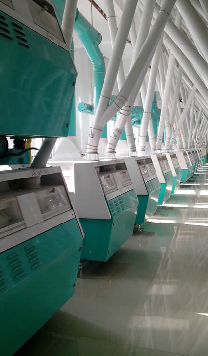 Flour Milling Plant