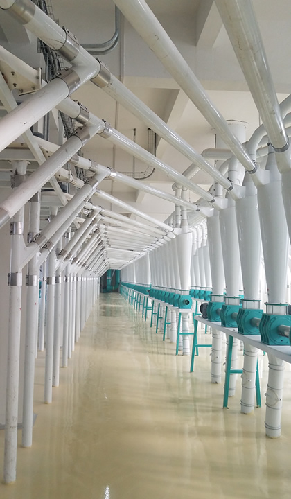 Grain Cleaning Equipment